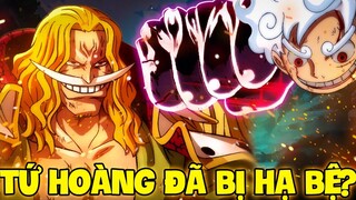 BỊ HẠ BỆ NGAY KHI GẶP LUFFY?! | NHỮNG TỨ HOÀNG TỪNG PHẢI THẤT BẠI TRONG ONE PIECE