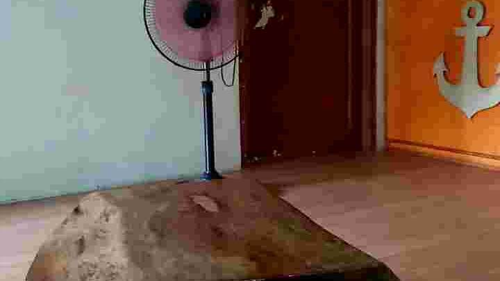 How to cook sardines