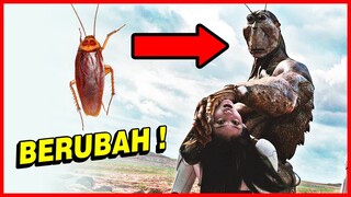 KECOA2 YANG DIKIRIM KE MARS INI BEREVOLUSI SETELAH 500 TAHUN!!
