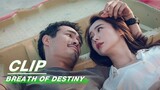 Clip: Stephy Qi & Tony Yang Lie Down And Take A Deep Breath | Breath of Destiny EP39 | 一起深呼吸 | iQiyi