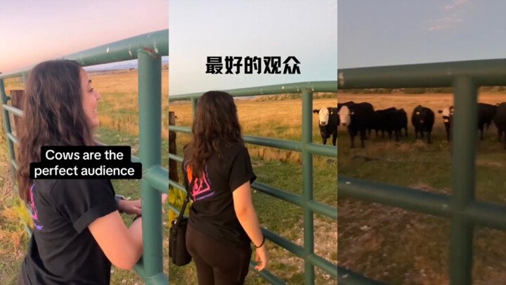 Para penggemar adalah penonton terbaik🎵