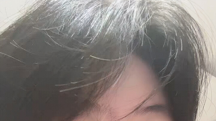 New pet just arrived home!