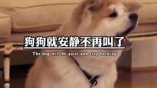 普京大帝带只🐶见🇯🇵人…