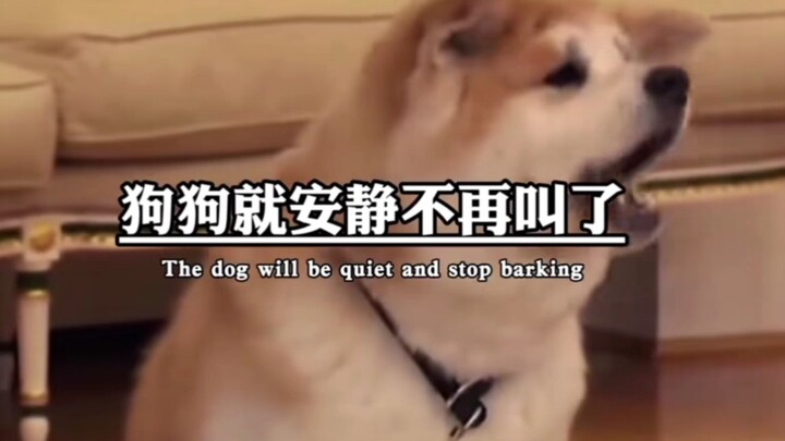 普京大帝带只🐶见🇯🇵人…