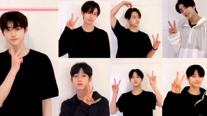 Masa iland, getaran Fu Ren, empat belas model dengan empat belas gaya