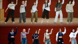 مقارنة بين نسخة 2024 و2023 من "Run For Roses" في غرفة التدريب