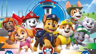 PAW Patrol | Marshall And Chase On The Case E5 | Video Storybook - Pup, Pup, and Away!