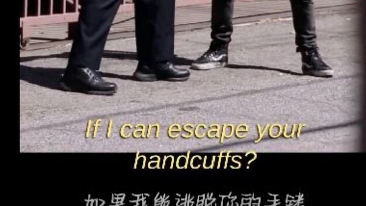 Free Cattle, Unafraid of the Police