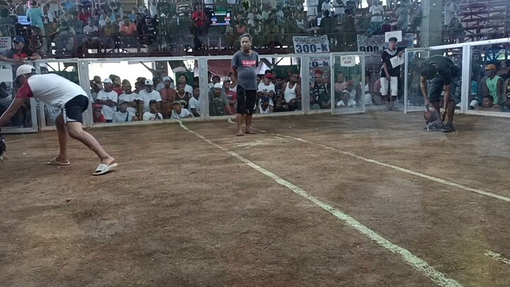 1st fight WIN #BOSS RJ