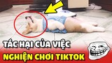 Chú chó Corgi bất lực vì chủ của mình bị NGHIỆN TIKTOK giai đoạn cuối 😂 | Yêu Lu