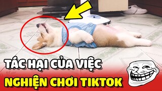 Chú chó Corgi bất lực vì chủ của mình bị NGHIỆN TIKTOK giai đoạn cuối 😂 | Yêu Lu