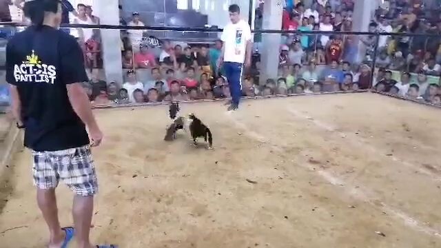 Ulutan derby at san fdo. masbate.