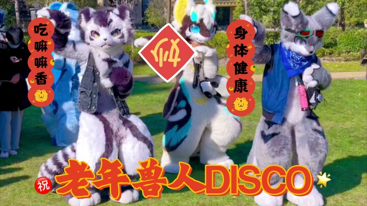 【老年兽人DISCO】银碳 牵比 OREZ