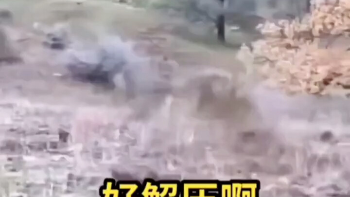 โทรเลขมาแล้ว