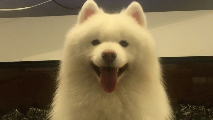 مهما كنتَ لطيفًا، فهذا لا يمنعني من مشاهدة التلفاز!