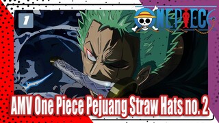 Jadi ini Pejuang Straw Hat No. 2?-1