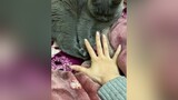 Đưa tay đây nào bạn ơi❤️❤️mãi bên nhau bạn nhé!trending meocute meo meow mèoo videomeo tiktok trend