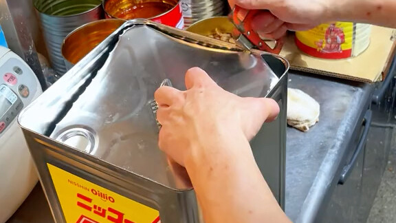 How can you survive in Japan without knowing Japanese?