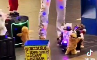 Bring a stool and watch it all afternoon.