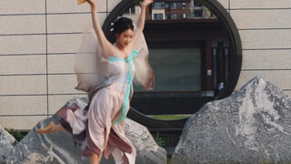 Hedi Shu Flip