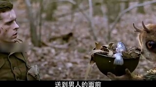 善良的兔子又有什么错呐