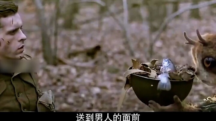 What's wrong with being a kind rabbit?