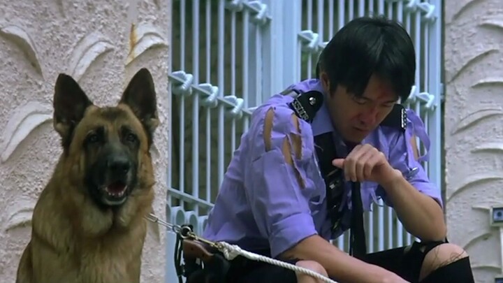 Những ngôi sao đình đám từng bị Châu Tinh Trì lấn át!