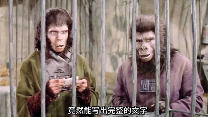 【Film & TV】Film Sci-Fi “Planet Monyet”: Dua Ribu Tahun Kemudian, Manusia Justru Dijadikan Objek Pene