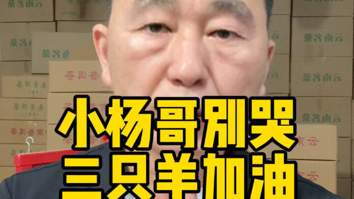 Chúc Tập đoàn Tam Chi Dương ngày càng phát triển tốt đẹp!