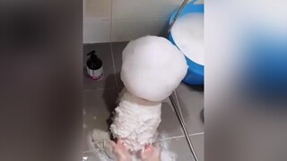 chó_cưng chócute chócon chópoodle chó