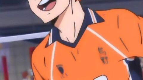 shoyohinata