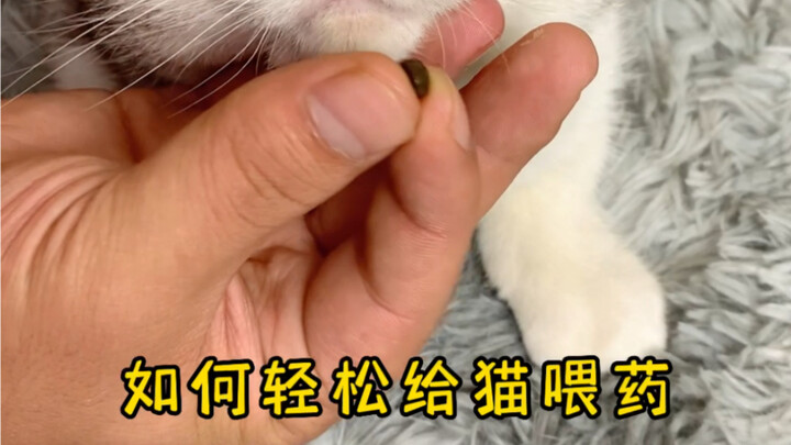 วิธีให้ยาแมวอย่างง่ายดาย?