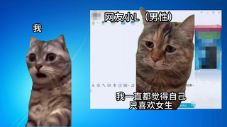 【猫meme】装男人的我差点掰弯了男网友