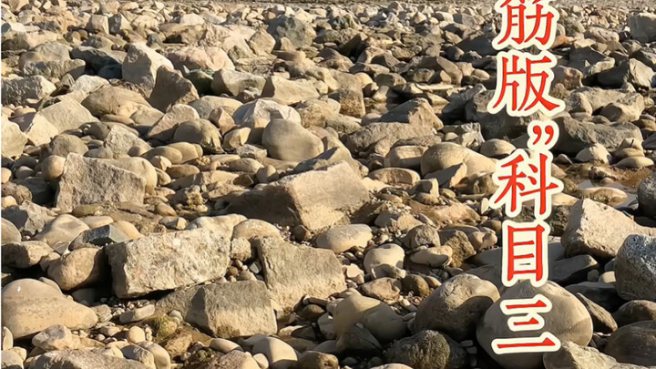 Li Bubai sharpens his needle on Day 2,365! Thanks to Subject Three, rebar and rocks join in for a bi