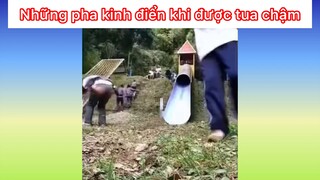 Những pha kinh điển