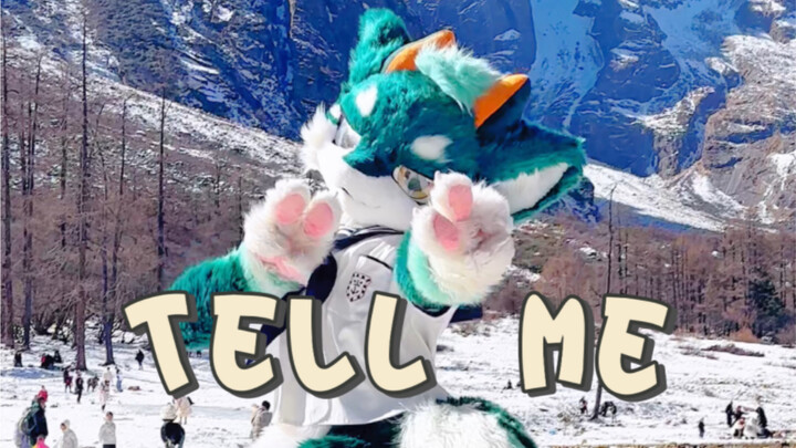 雪山龙龙 在线Tell Me