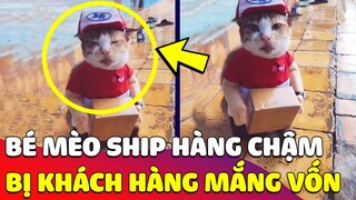 Trời mưa gió đi 'SHIP HÀNG' bị chậm, bé 'MÈO SHIPPER' bị khách hàng 'MẮNG TÚI BỤI' 😂 Gâu Đần