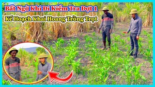 Hùng KaKa ll Thành Công Giai Đoạn Đầu của Kế Hoạch Trồng Cây Lương Thực Chính ? Để Xoá Đói