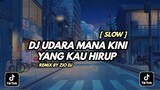 DJ UDARA MANA KINI YANG KAU HIRUP || DERE KOTA SLOW || DJ TIKTOK VIRAL 2021