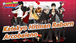 [Katekyo Hitman Reborn/Hand Drawn MAD] Familia Of Arcobaleno&Giotto