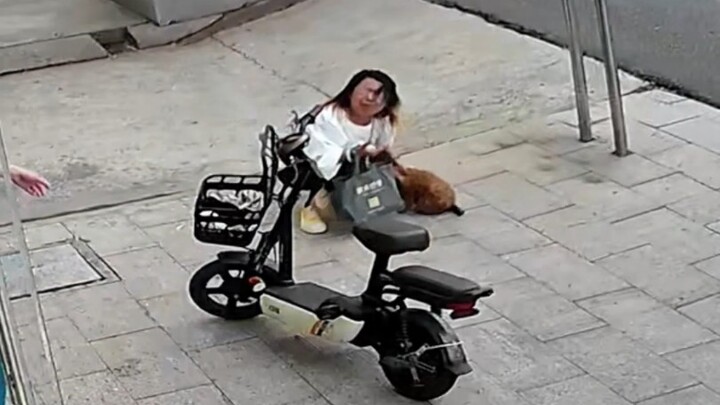 This person and dog look so miserable.