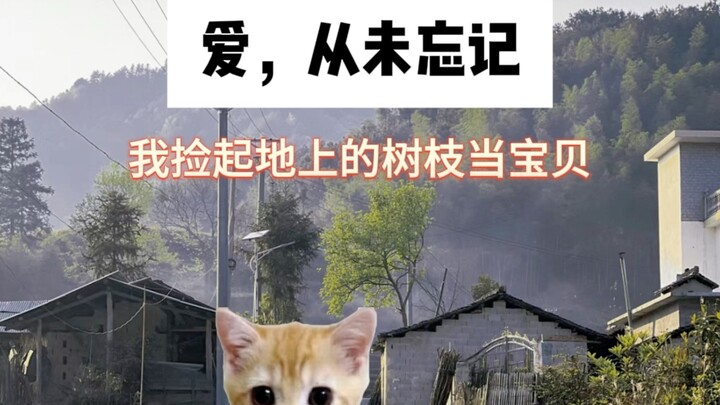 Kakek selalu mengingat impian Raja Monyetku.