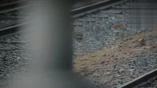 film keren
