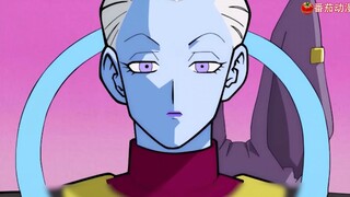 比鲁斯来到了界王星，神与神的较量即将开幕