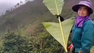 Pesawat buatan sendiri (versi daun pisang) begitu indah saat diterbangkan