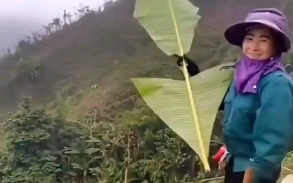 自制飞行器（芭蕉叶版）   飞起来的那一刻好美