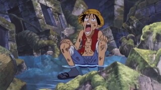 Luffy đã hát bài hát "Idiot, Idiot" từ khi còn nhỏ.