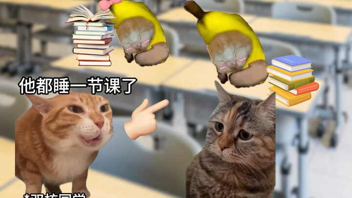 المعركة بين أوائل الطلاب بسيطة وعفوية هكذا!