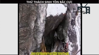 Thử thách sinh tồn _ ở Bắc Cực 100 ngày sẻ được 1 triệu đola bạn có muốn thử P19