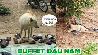 Đầu năm mà nhiều món quá - Top comments hài hước Face Book.